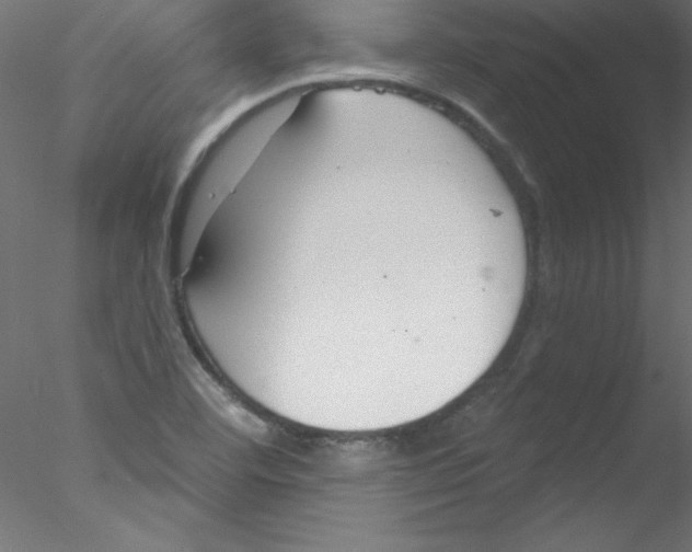 X0000076401460200611031709