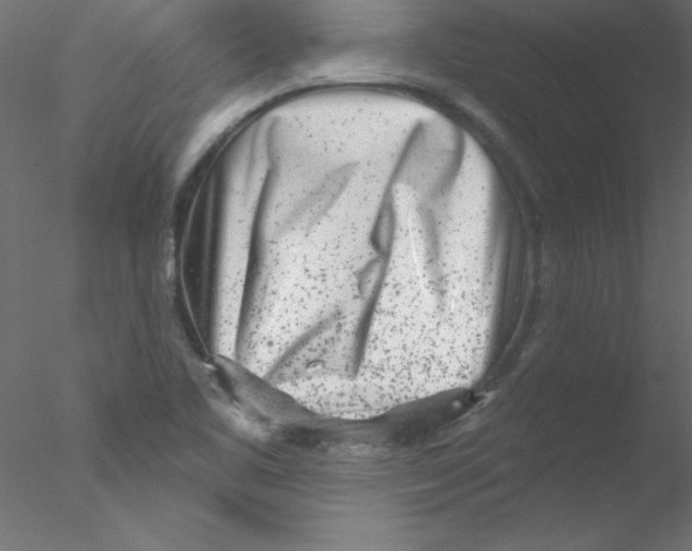 X0000076401461200611031709