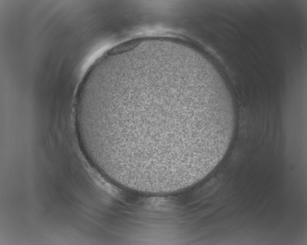 X0000076401463200611031709