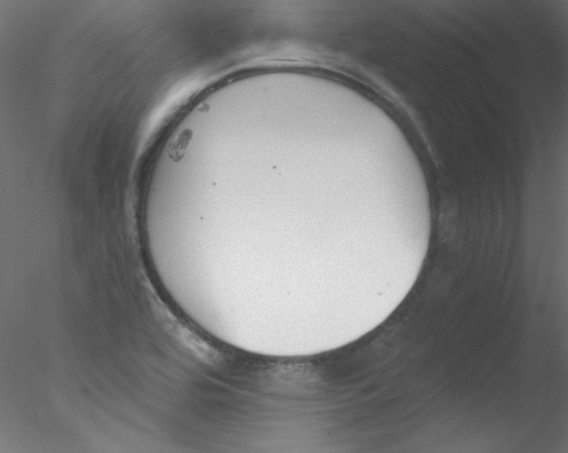 X0000076401464200611031709