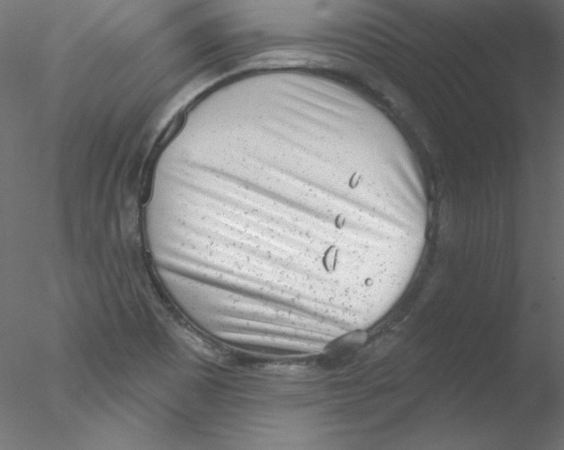 X0000076401465200611031709