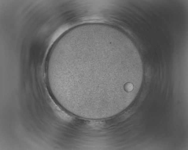 X0000076401466200611031709