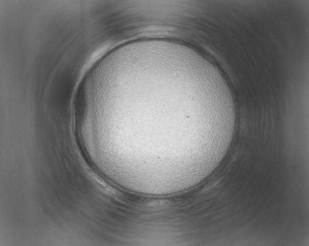 X0000076401467200611031709