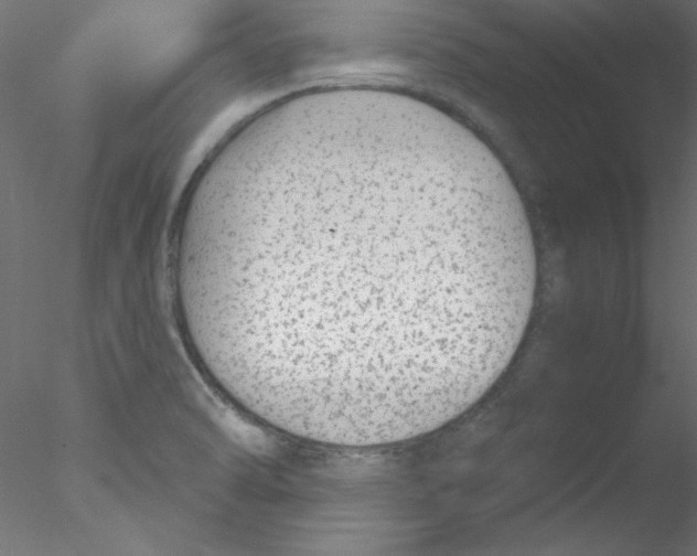 X0000076401470200611031709