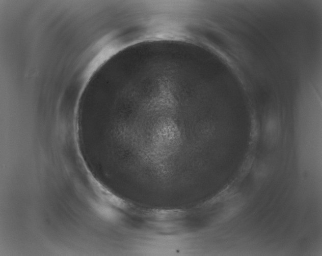 X0000076401471200611031709