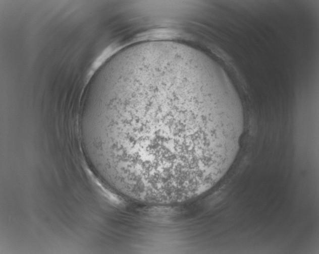 X0000076401473200611031709