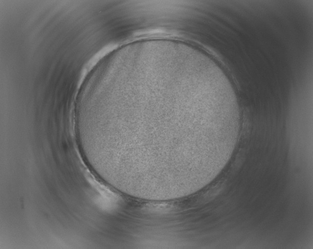 X0000076401474200611031709