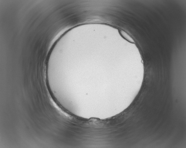 X0000076401476200611031709