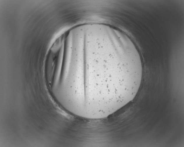 X0000076401477200611031709