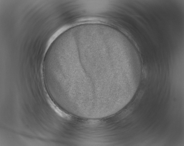 X0000076401482200611031709