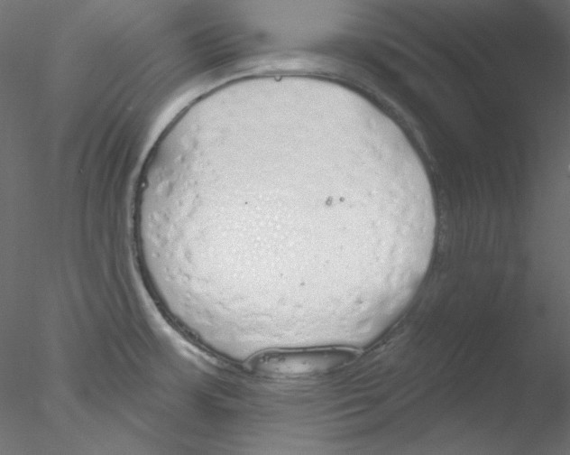 X0000076401483200611031709