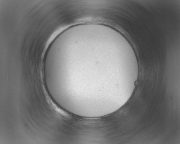 X0000076401486200611031709