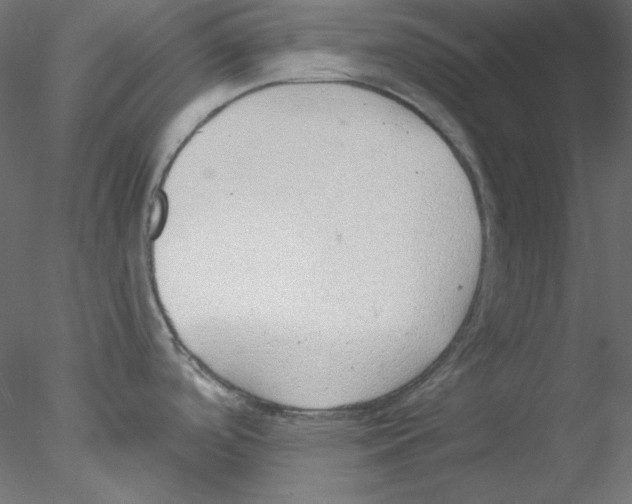 X0000076401488200611031709