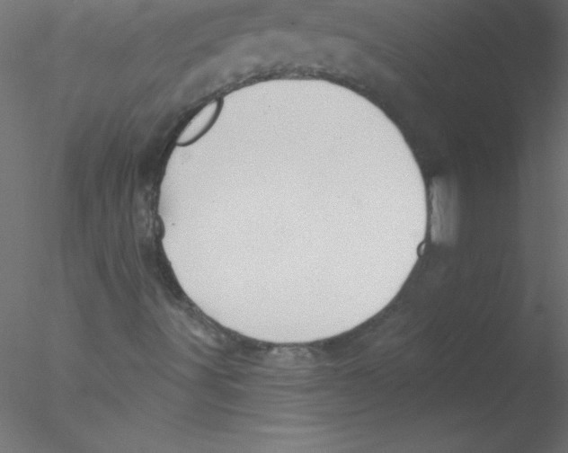 X0000076401491200611031708