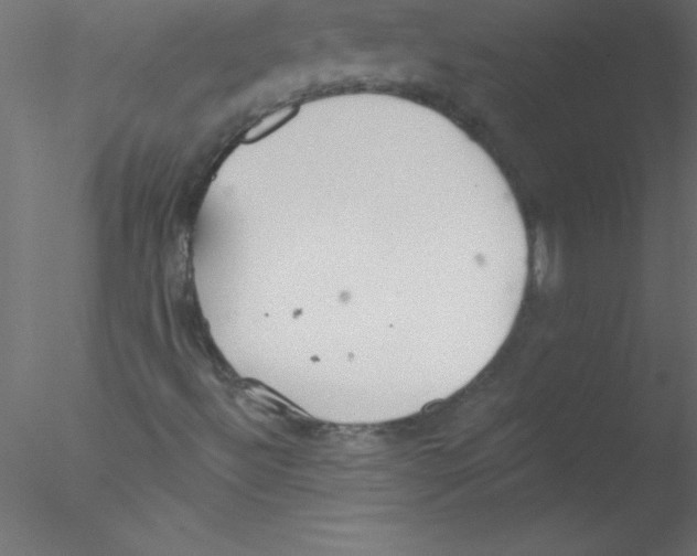 X0000076401492200611031708