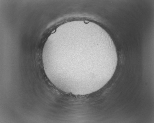 X0000076401494200611031708