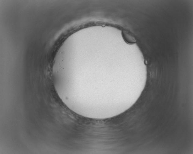 X0000076401495200611031708