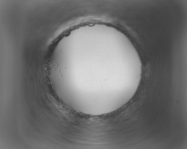 X0000076401496200611031708