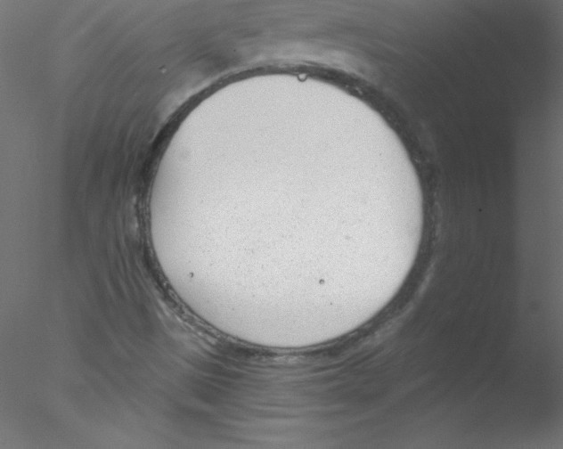 X0000076401497200611031708