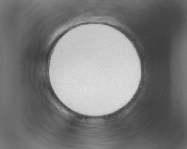 X0000076401498200611031708