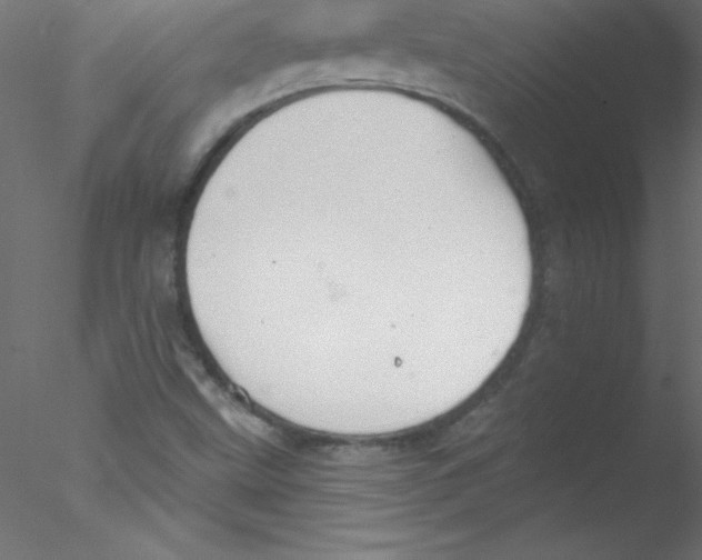 X0000076401499200611031708