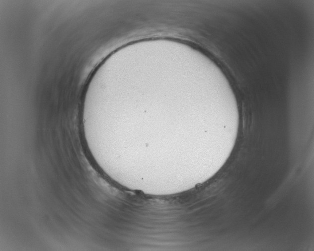 X0000076401500200611031708