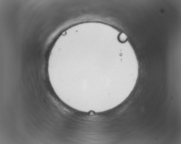 X0000076401502200611031708