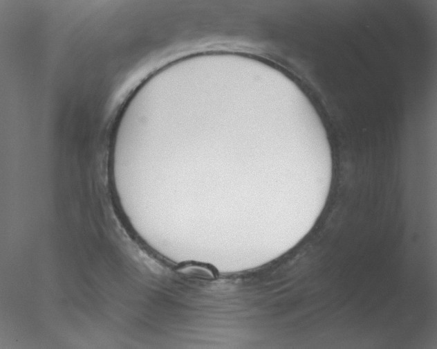 X0000076401504200611031708