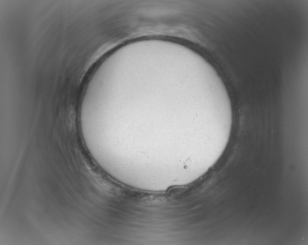 X0000076401505200611031708