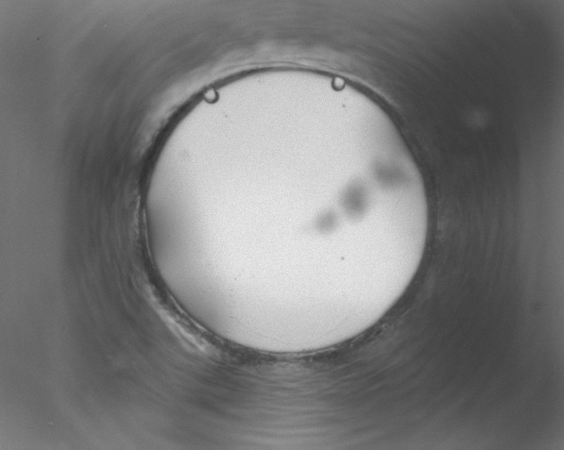 X0000076401507200611031708