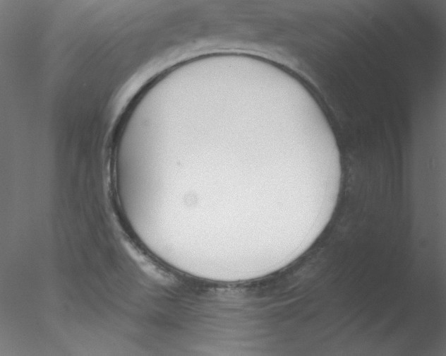 X0000076401511200611031708