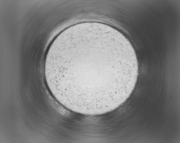 X0000076401514200611031708