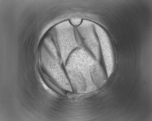 X0000076401515200611031708