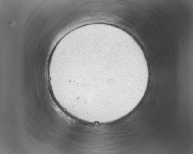 X0000076401516200611031708