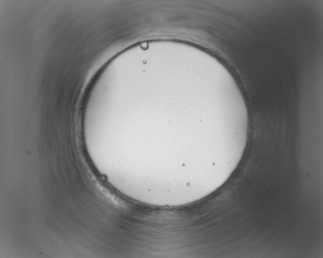 X0000076401517200611031708