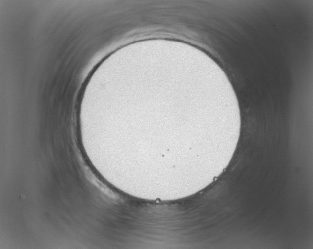 X0000076401518200611031708