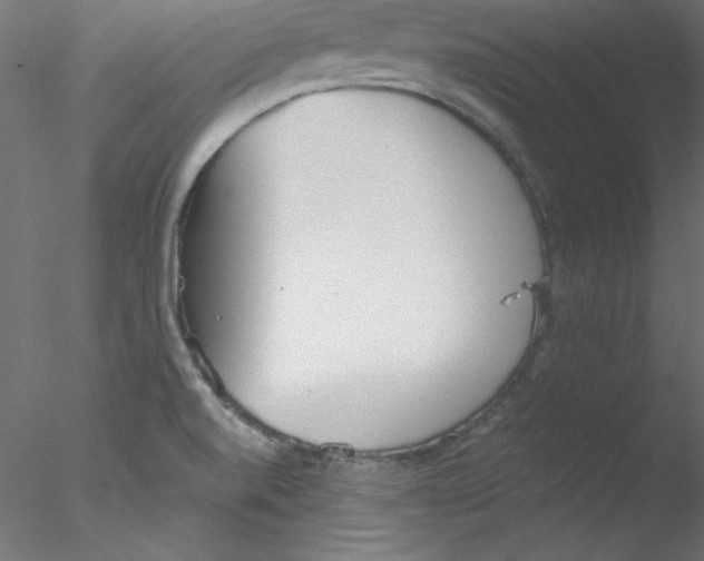 X0000076401520200611031708