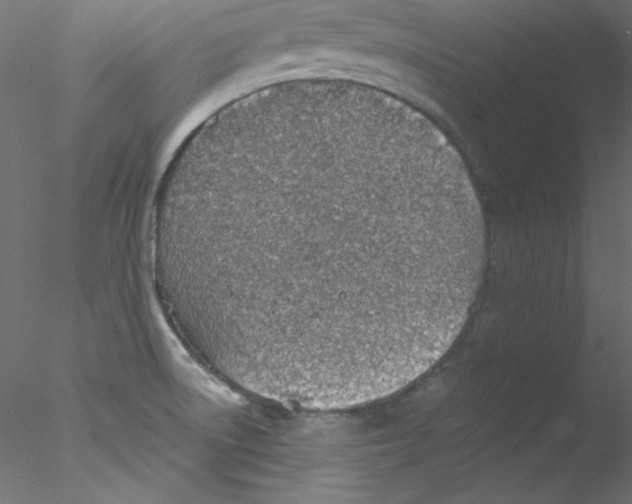 X0000076401522200611031708