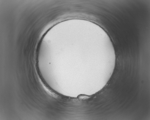 X0000076401523200611031708