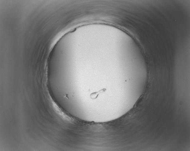 X0000076401524200611031708