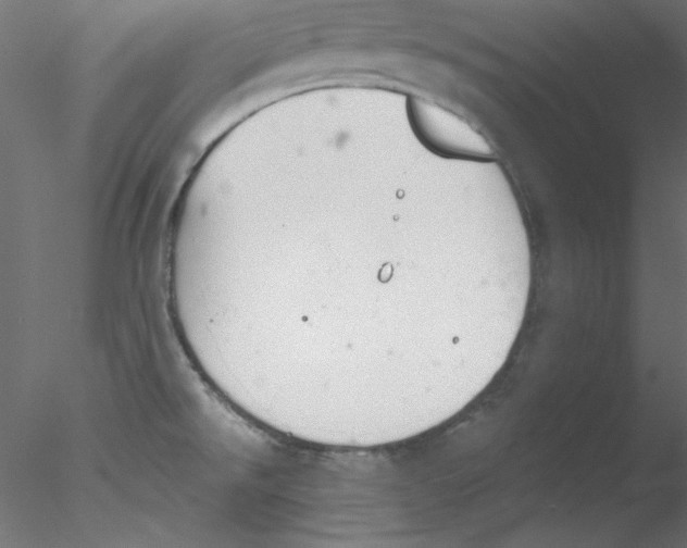 X0000076401526200611031708