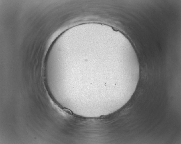 X0000076401527200611031708