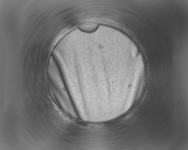 X0000076401529200611031708