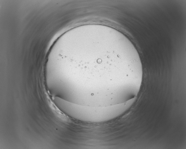 X0000076401530200611031708