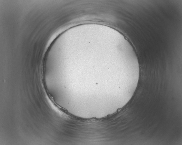 X0000076401531200611031708