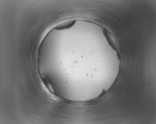 X0000076401532200611031708