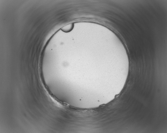 X0000076401533200611031709