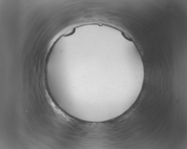 X0000076401534200611031709