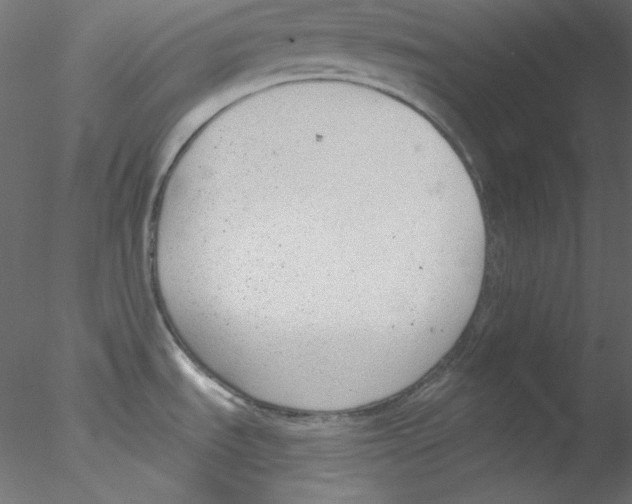 X0000076401535200611031709