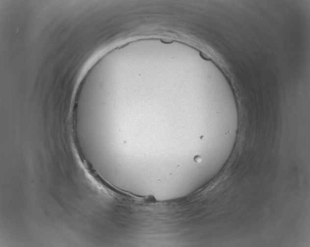 X0000076401536200611031709